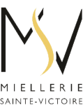 LOGO MSV Vertical